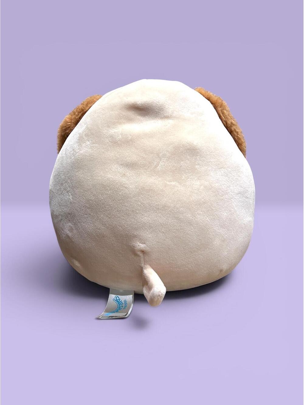 Harris the Dog Squishmallow 8" - Picture 2 of 3